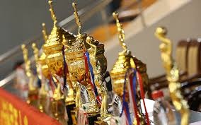 祝贺，王霜和陈晨入选2025国际足联年度最佳女足阵容候选名单