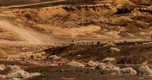 德州扑克不是谁手顺（德州扑克比的不是手气）